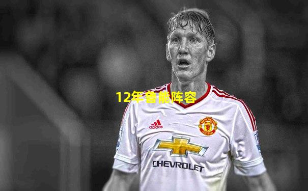 12年鲁能阵容