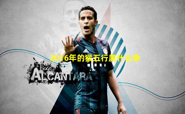 2016年的猴五行属什么命