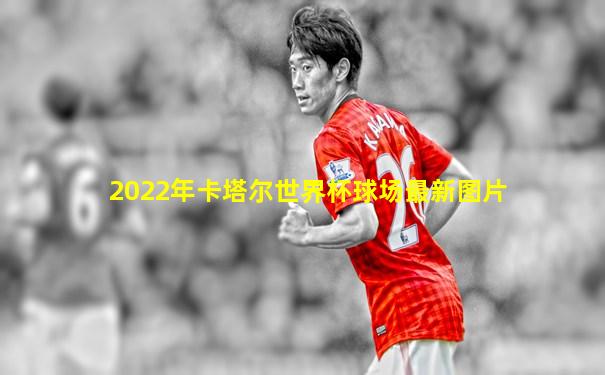 2022年卡塔尔世界杯球场最新图片