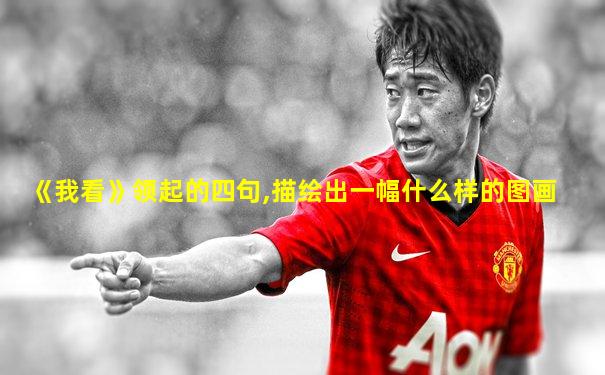 《我看》领起的四句,描绘出一幅什么样的图画