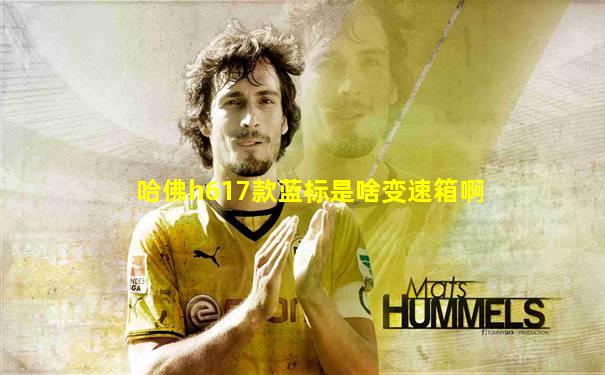 哈佛h617款蓝标是啥变速箱啊