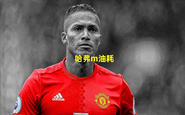 哈弗m油耗