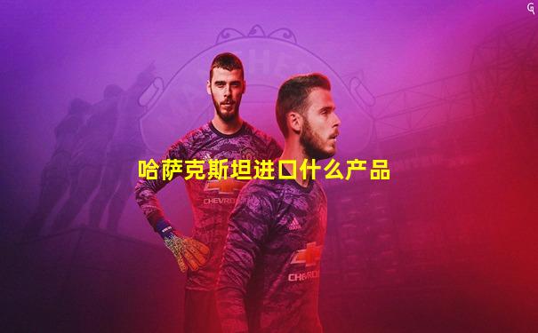 哈萨克斯坦进口什么产品