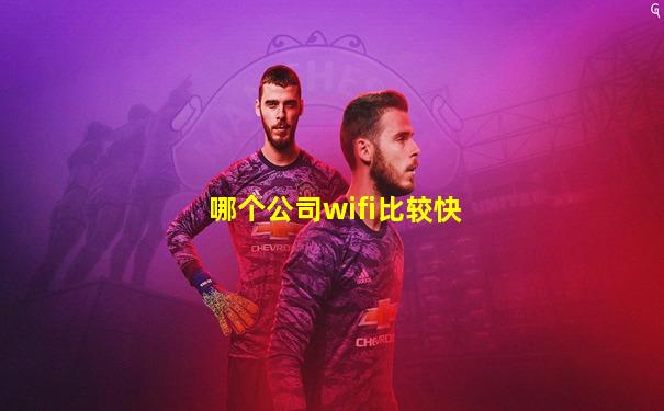 哪个公司wifi比较快