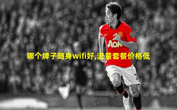 哪个牌子随身wifi好,流量套餐价格低