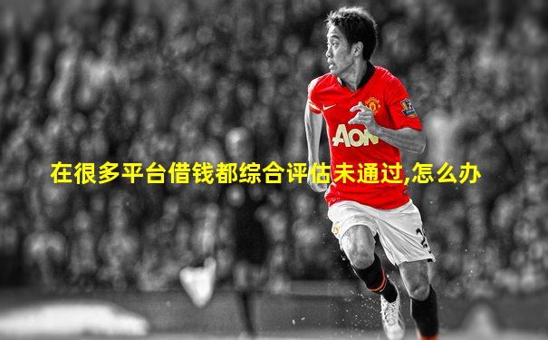 在很多平台借钱都综合评估未通过,怎么办