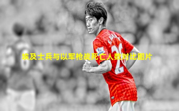 埃及士兵与以军枪战死亡人数对比图片
