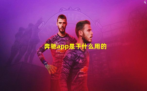 奔驰app是干什么用的