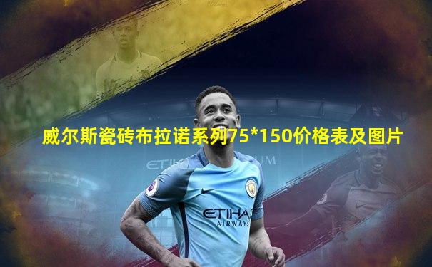 威尔斯瓷砖布拉诺系列75*150价格表及图片