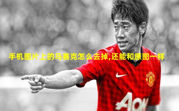 手机图片上的马赛克怎么去掉,还能和原图一样