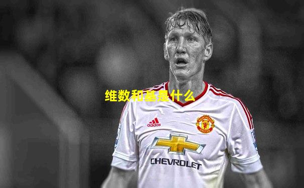 维数和基是什么