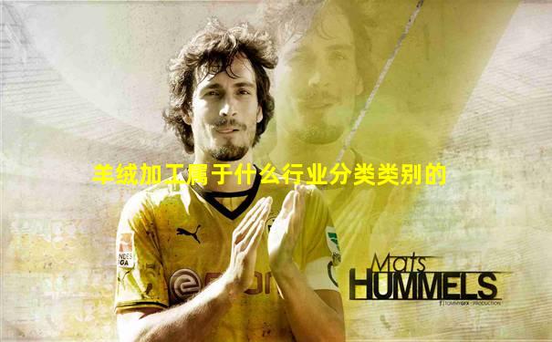 羊绒加工属于什么行业分类类别的