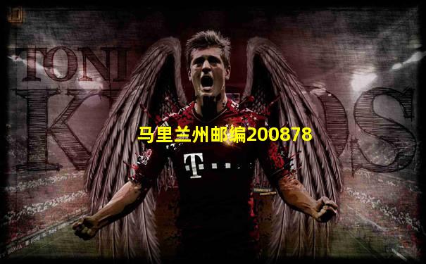 马里兰州邮编200878
