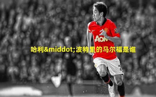 哈利·波特里的马尔福是谁
