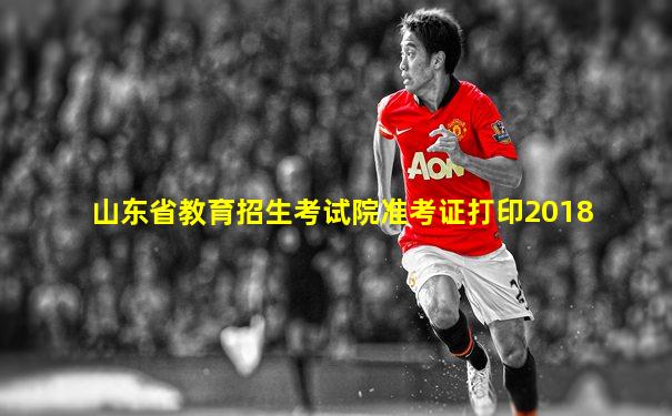 山东省教育招生考试院准考证打印2018