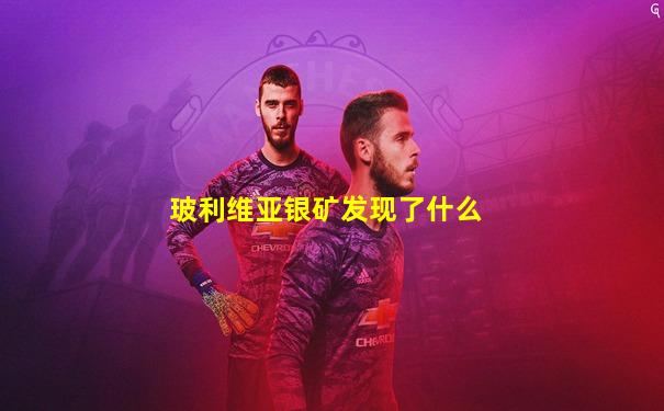 玻利维亚银矿发现了什么