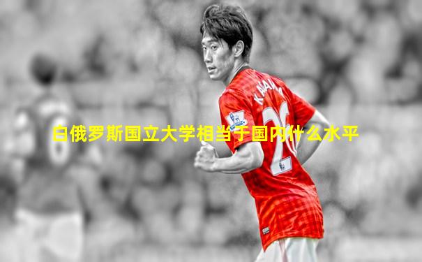 白俄罗斯国立大学相当于国内什么水平