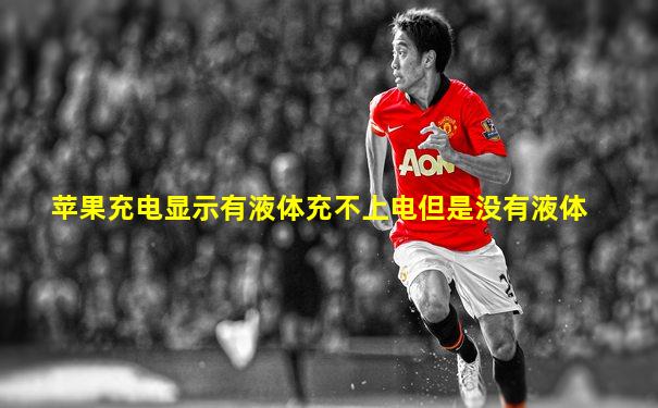 苹果充电显示有液体充不上电但是没有液体